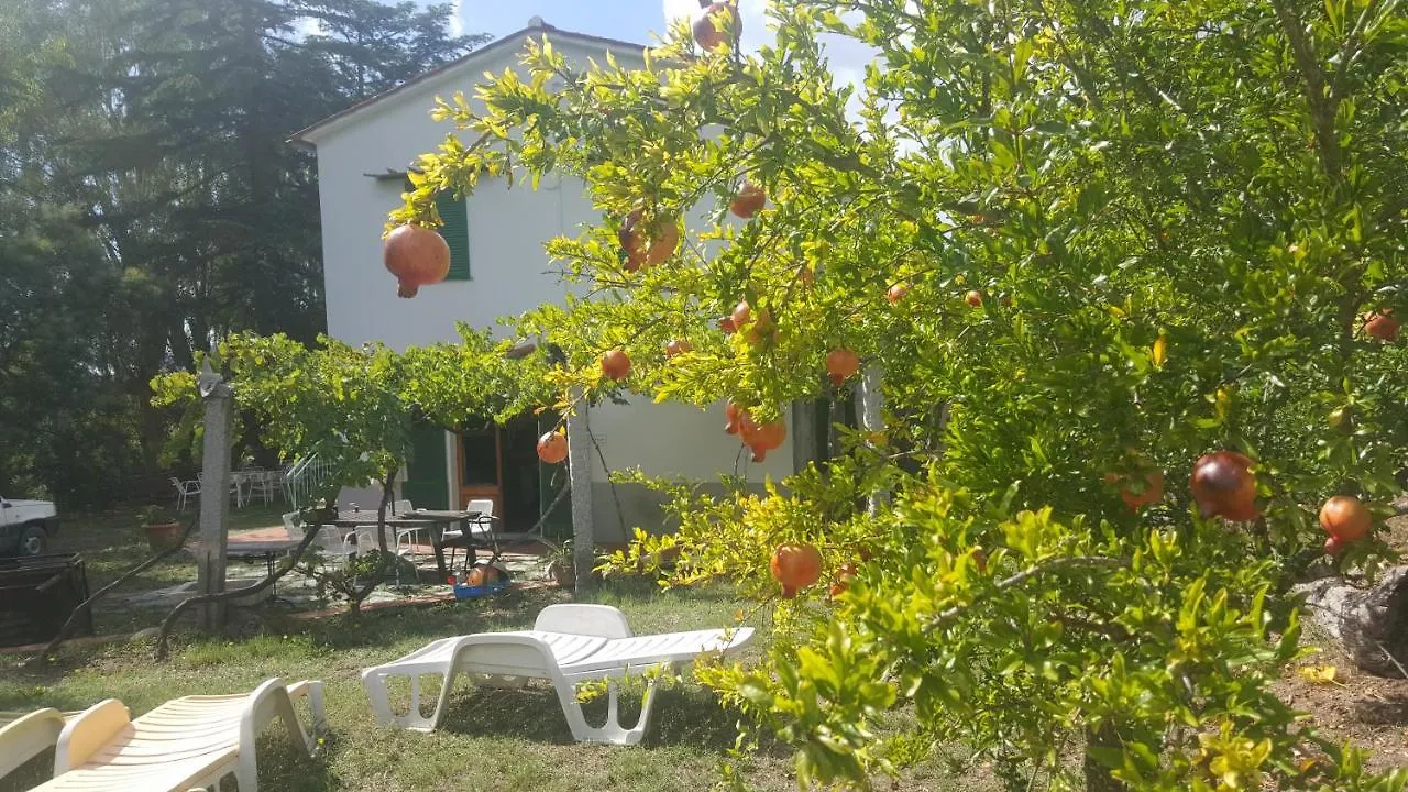 Villa I Gechi - Marina Di Campo 0*,  Italia